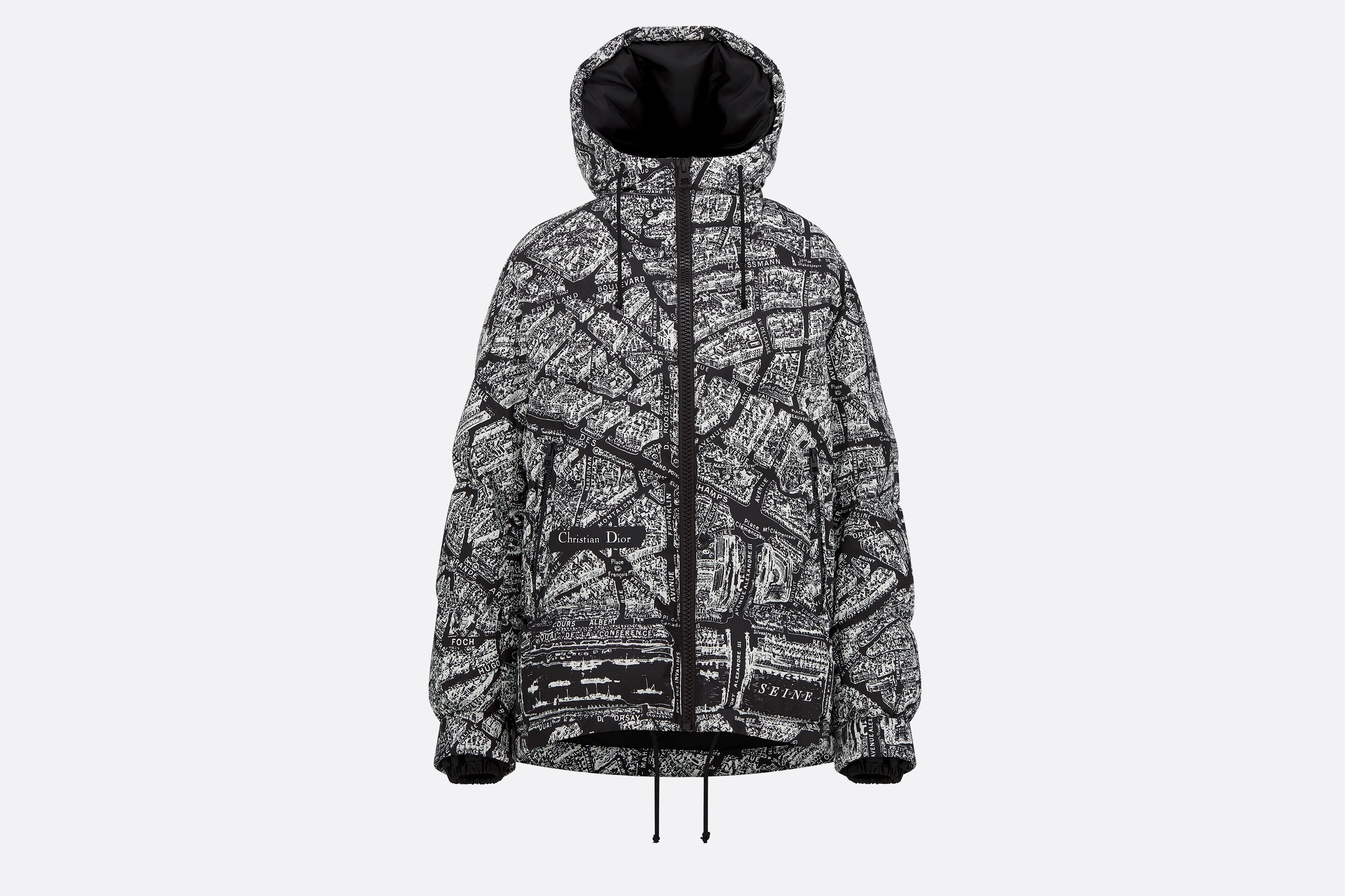 DiorAlps Hooded Down Jacket - 1