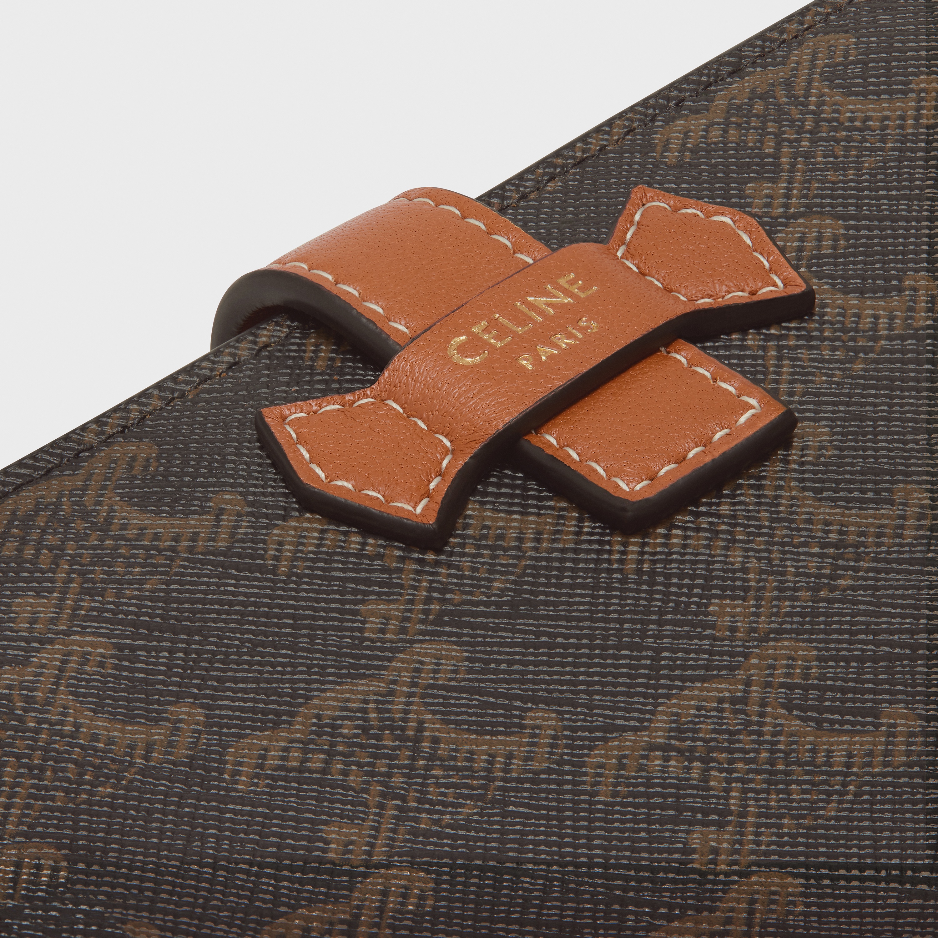 Medium Strap Wallet in Triomphe Canvas and lambskin - 5