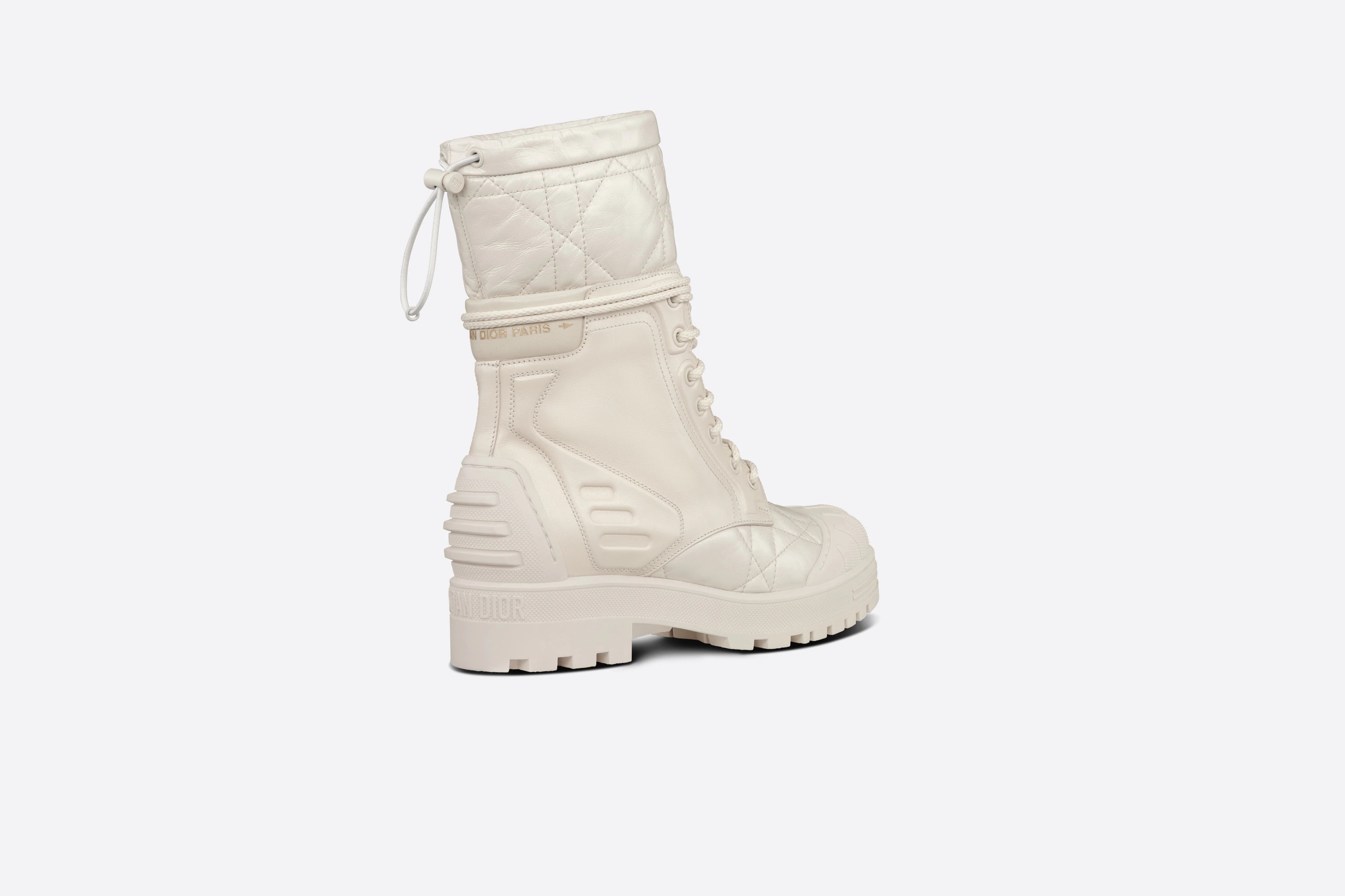 DiorIron Ankle Boot - 3
