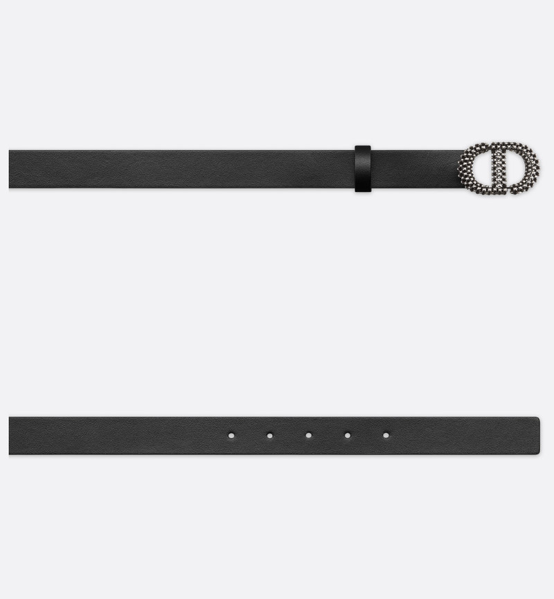 Dior 30 Montaigne Belt outlook