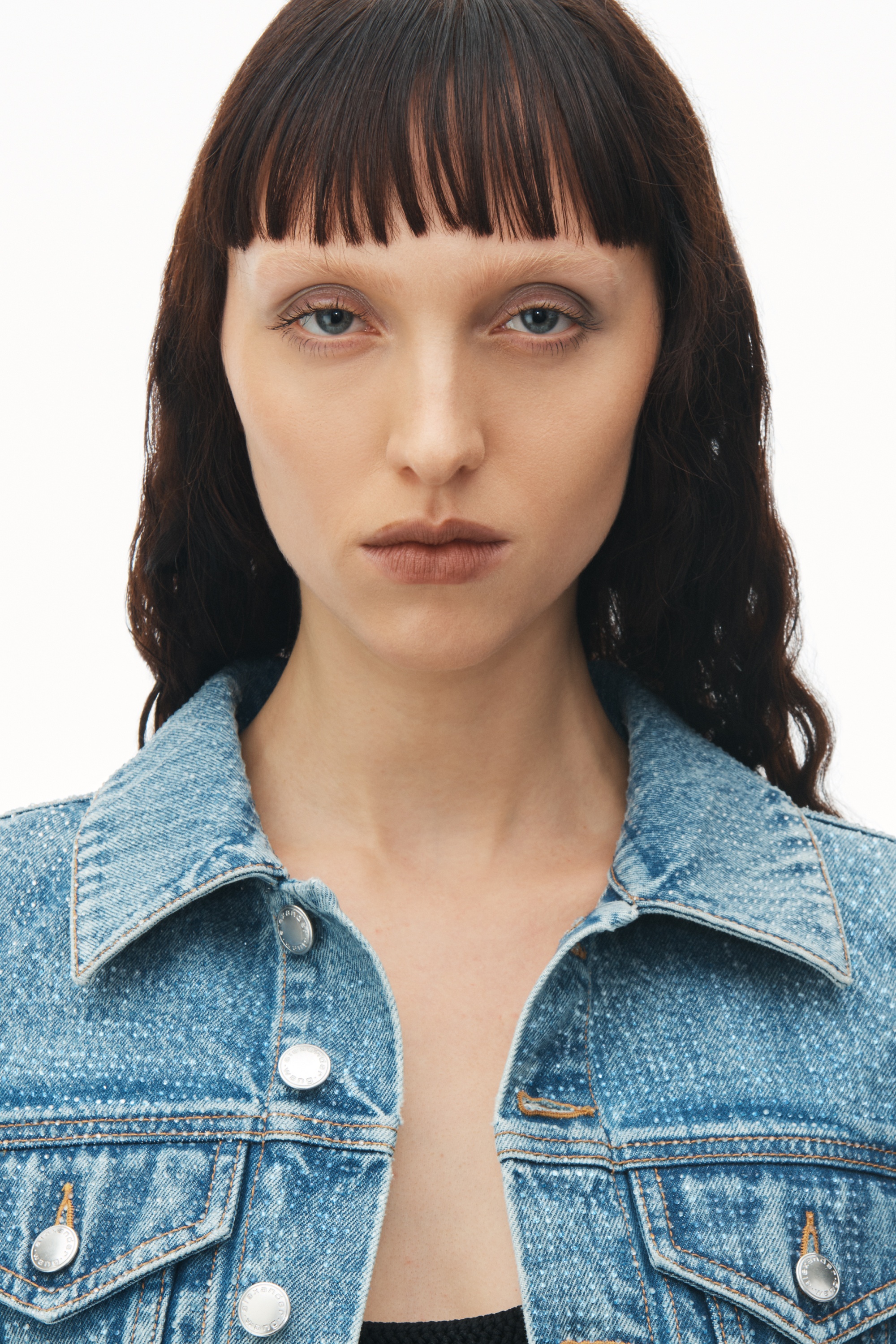 Cropped Denim Trucker Jacket in Clear Hotfix - 4