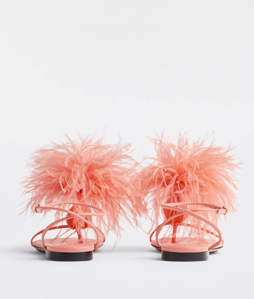 feather dot - 3
