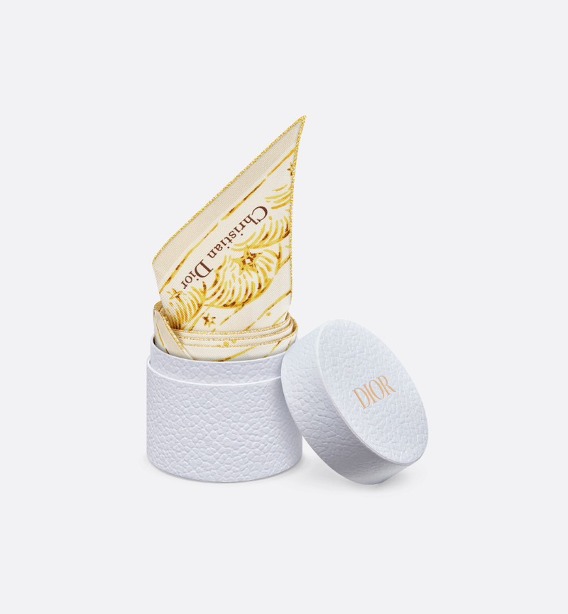 Dior Astral Mitzah Scarf 5