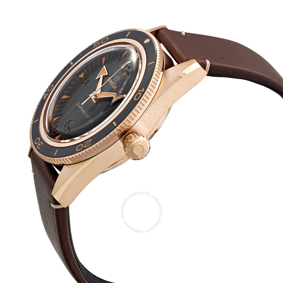 Omega Seamaster Automatic Chronometer Brown Dial Men's Watch 234.92.41.21.10.001 - 2
