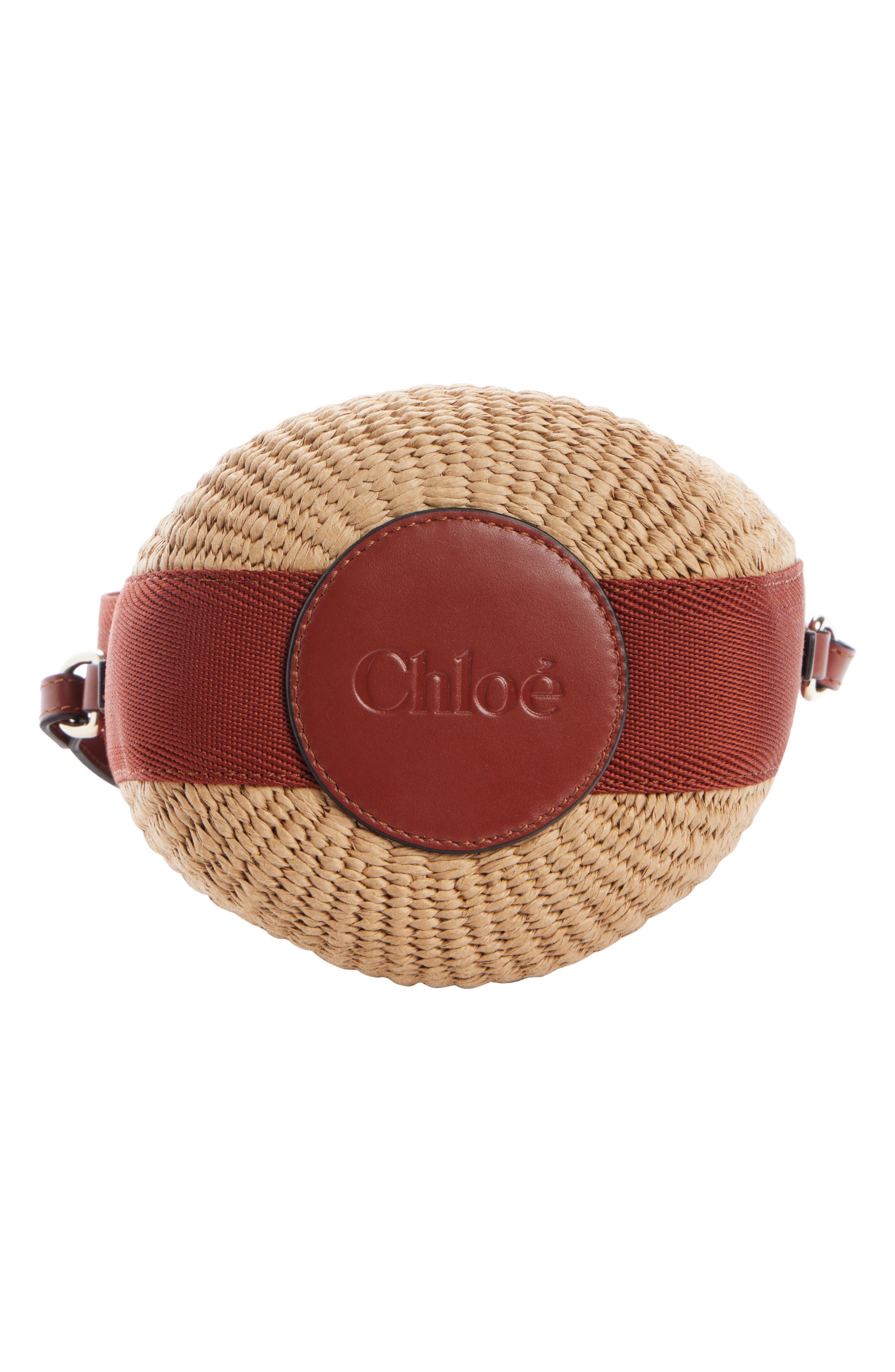 Chloé Small Horse Medal Basket Bag in 27S Sepia Brown at Nordstrom - 6