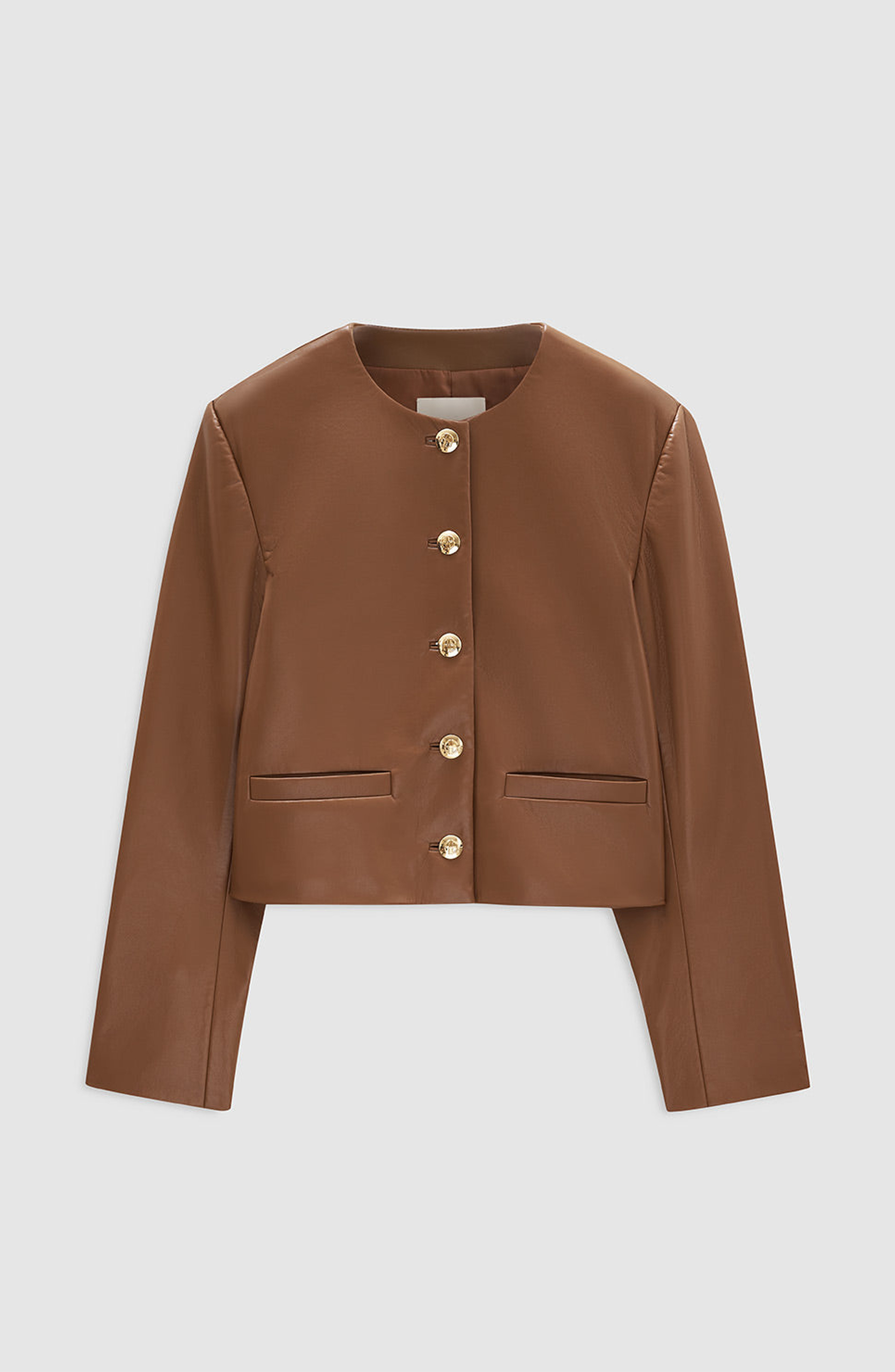 ANINE BING Amber Recycled Leather Jacket in Cognac at Nordstrom - 4
