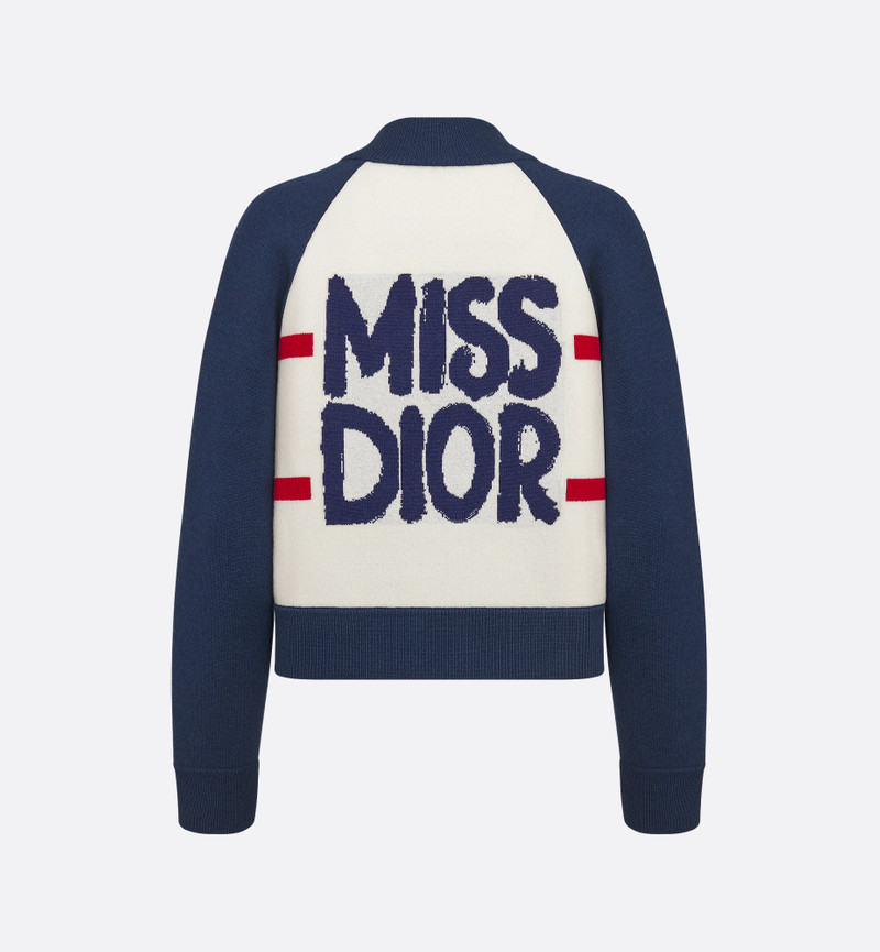 Dior DiorAlps Bomber Jacket outlook