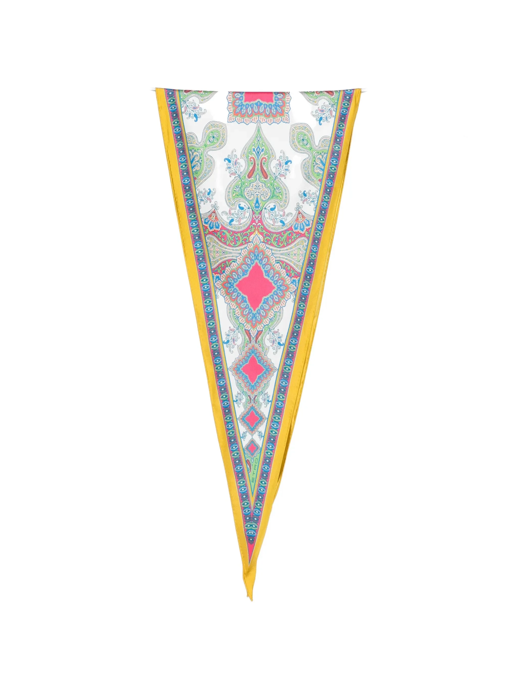 Etro Printed Scarf - 1