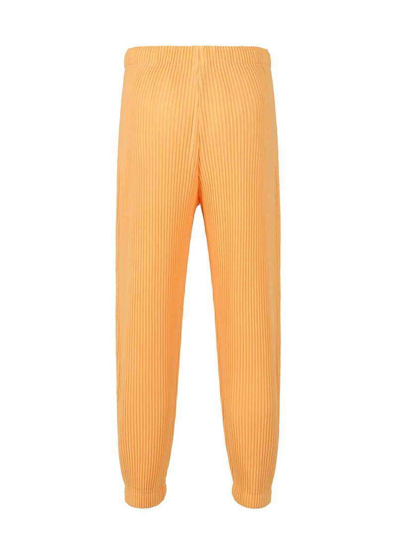 ISSEY MIYAKE MC JUNE PANTS outlook