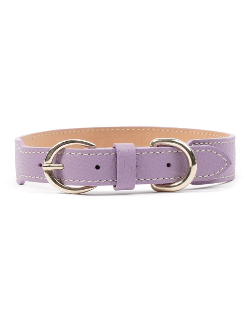 double-buckled leather dog collar 1
