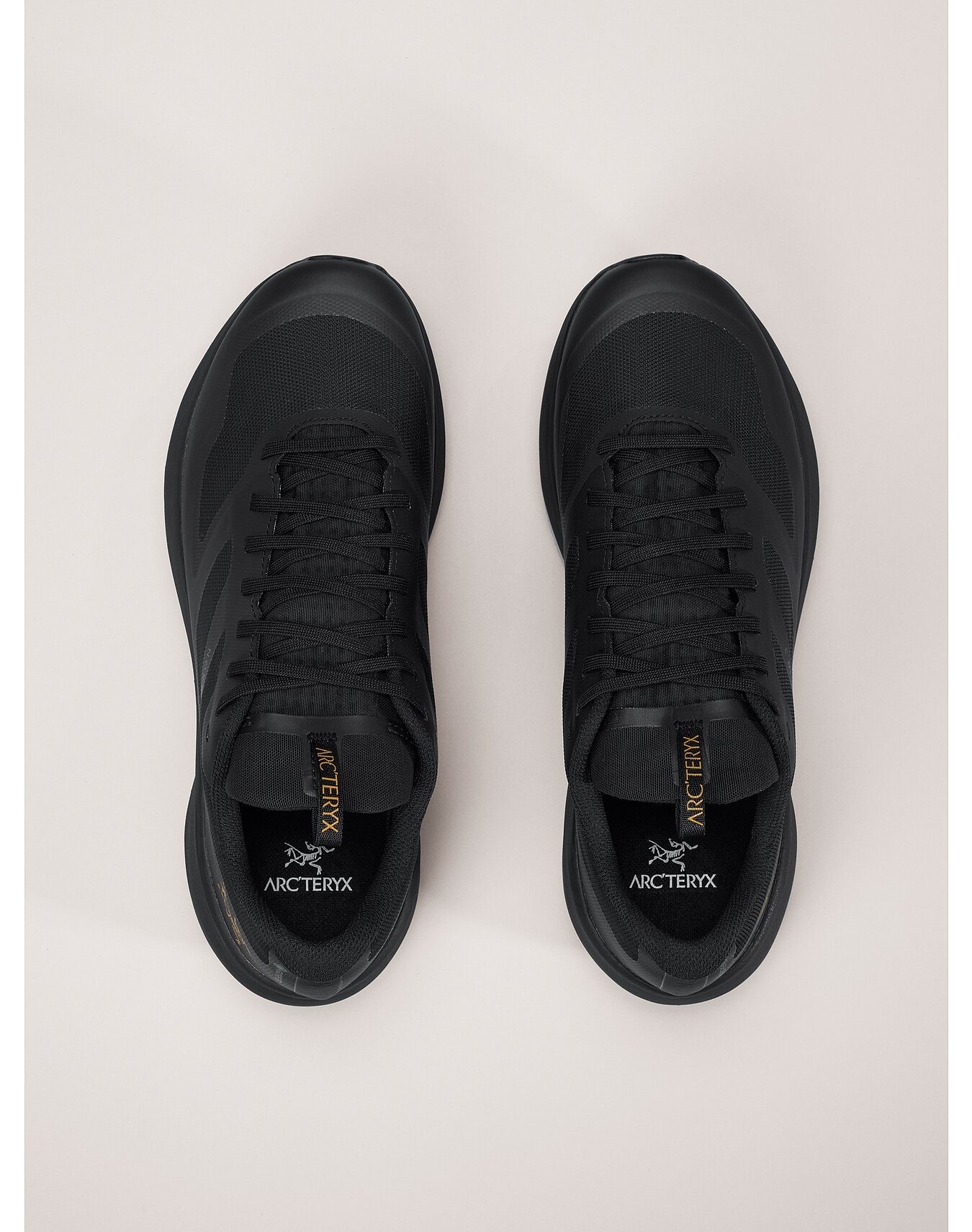 Norvan LD 3 GTX Shoe - 3