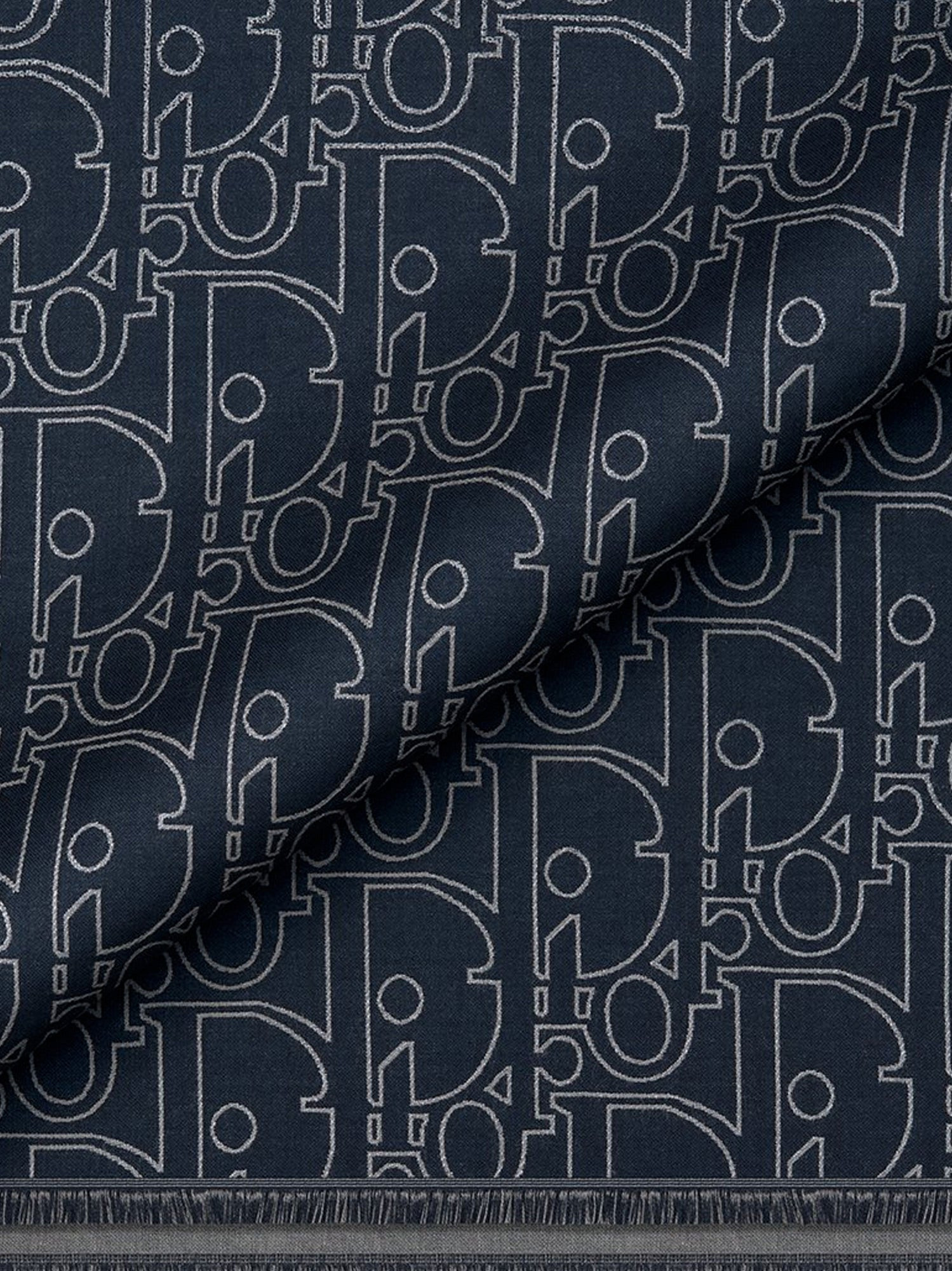 Dior Dior Gravity Wool And Silk Scarf - 2