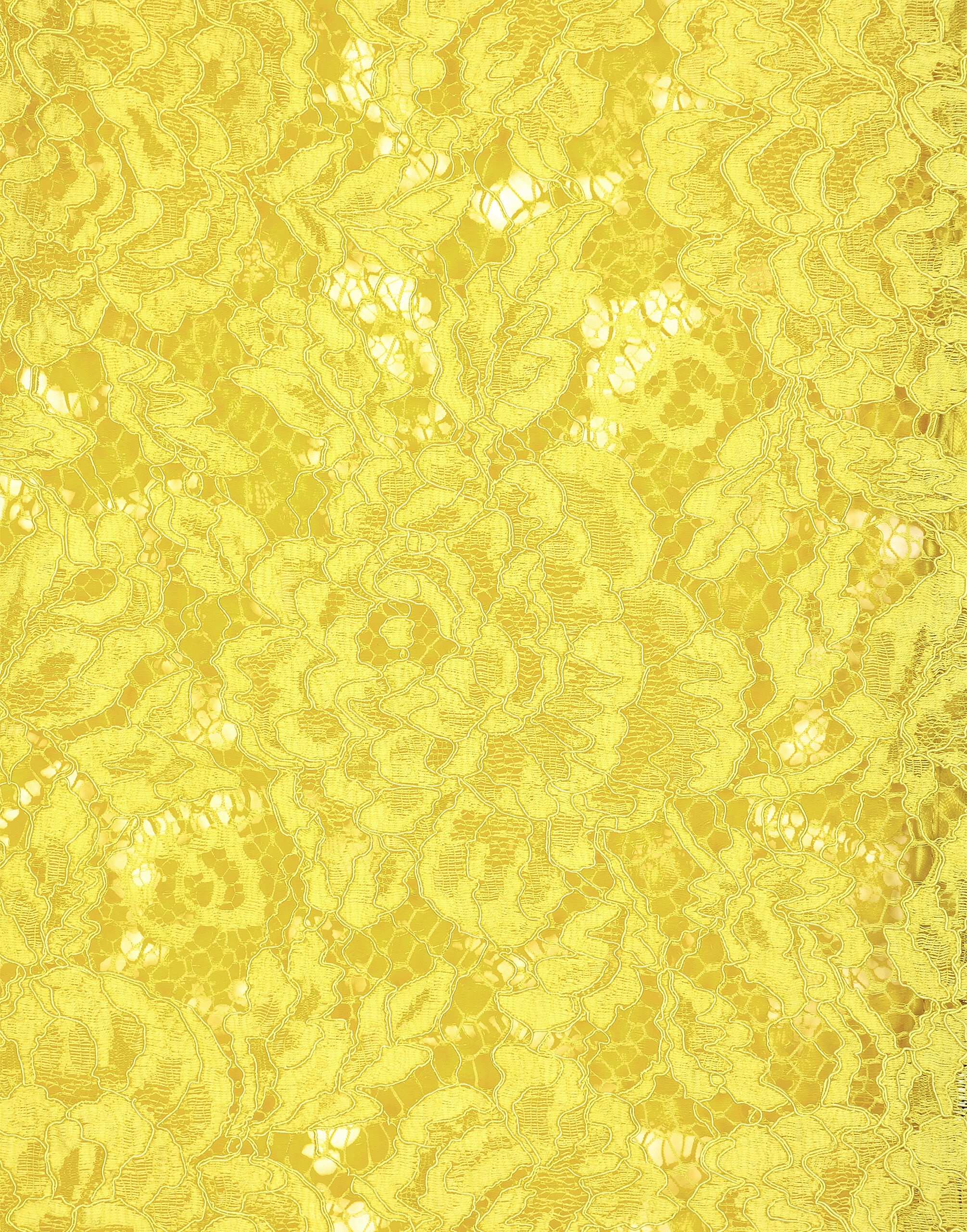 Branded floral cordonetto lace top - 5