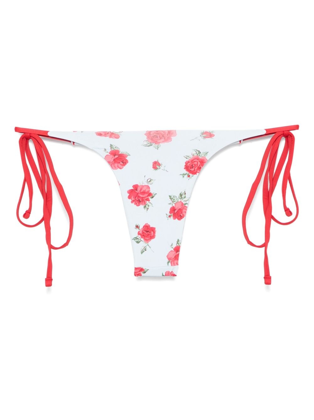 Divine bikini briefs - 2
