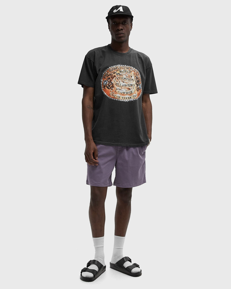 One Of These Days WORLD CHAMPIONS TSHIRT outlook