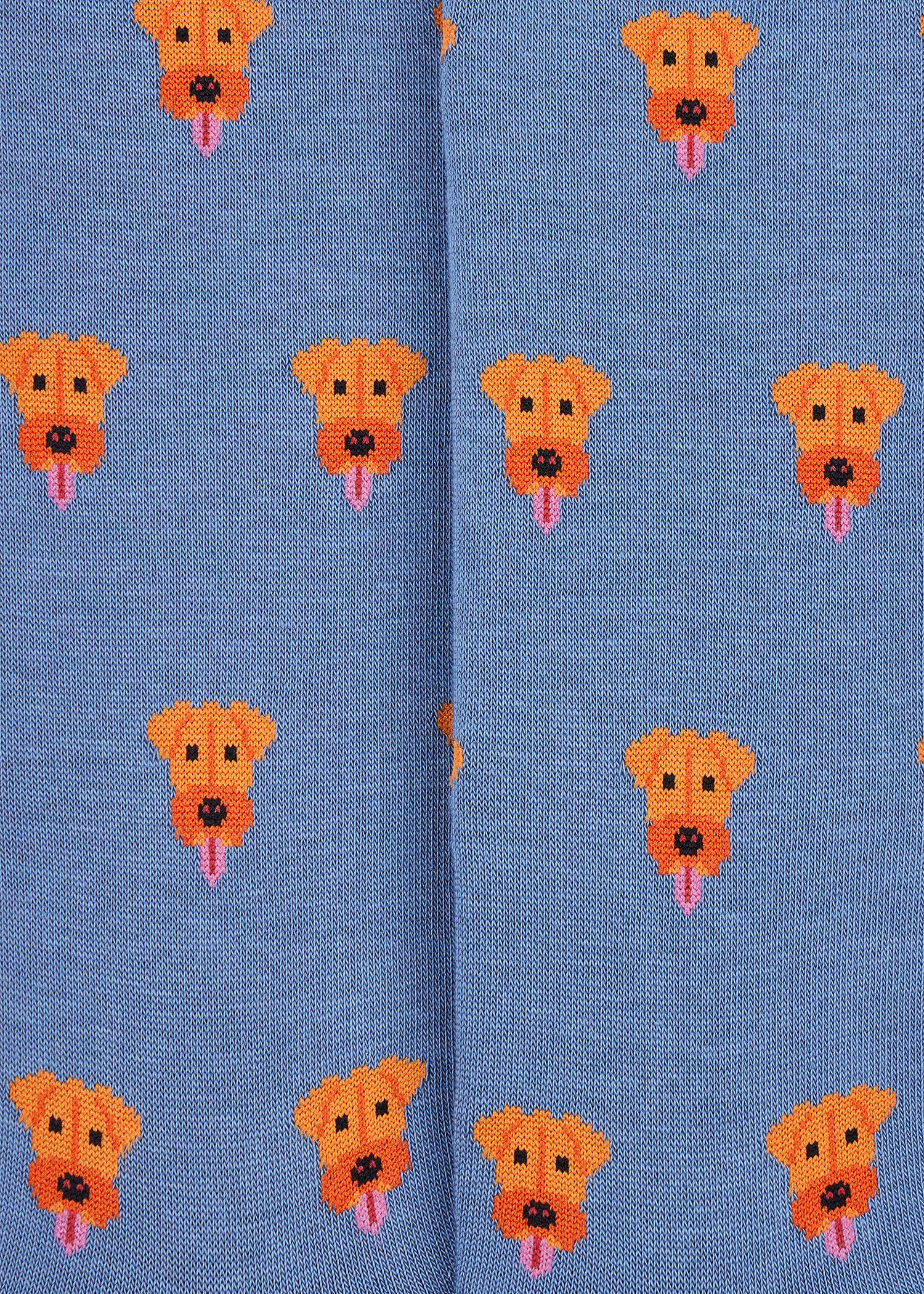 Blue Cotton-Blend Dog Socks - 3