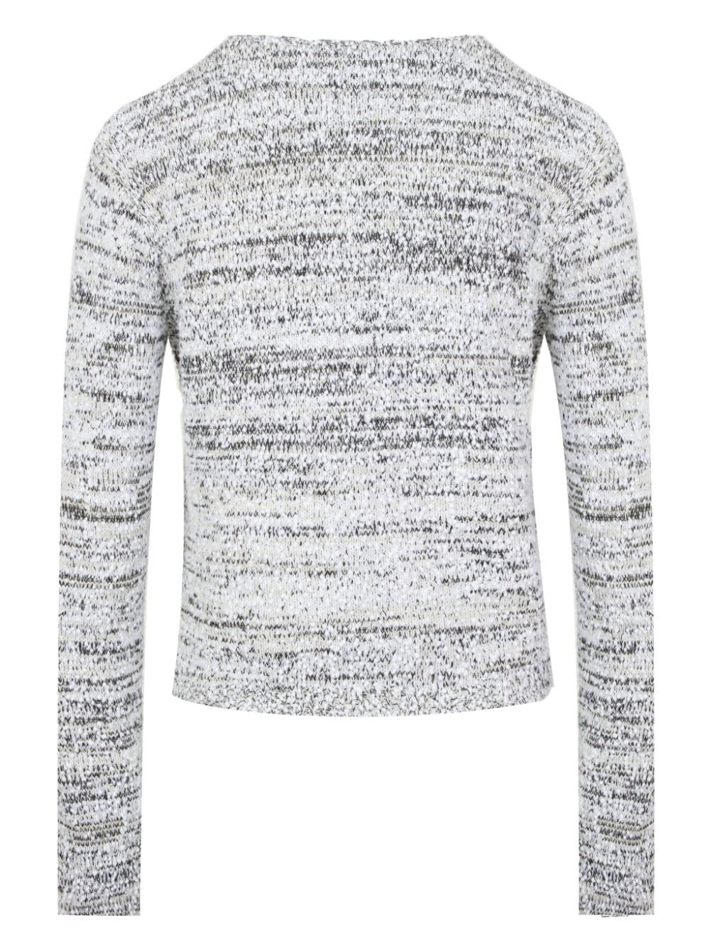 Alps Visual Landscapes cardigan - 5
