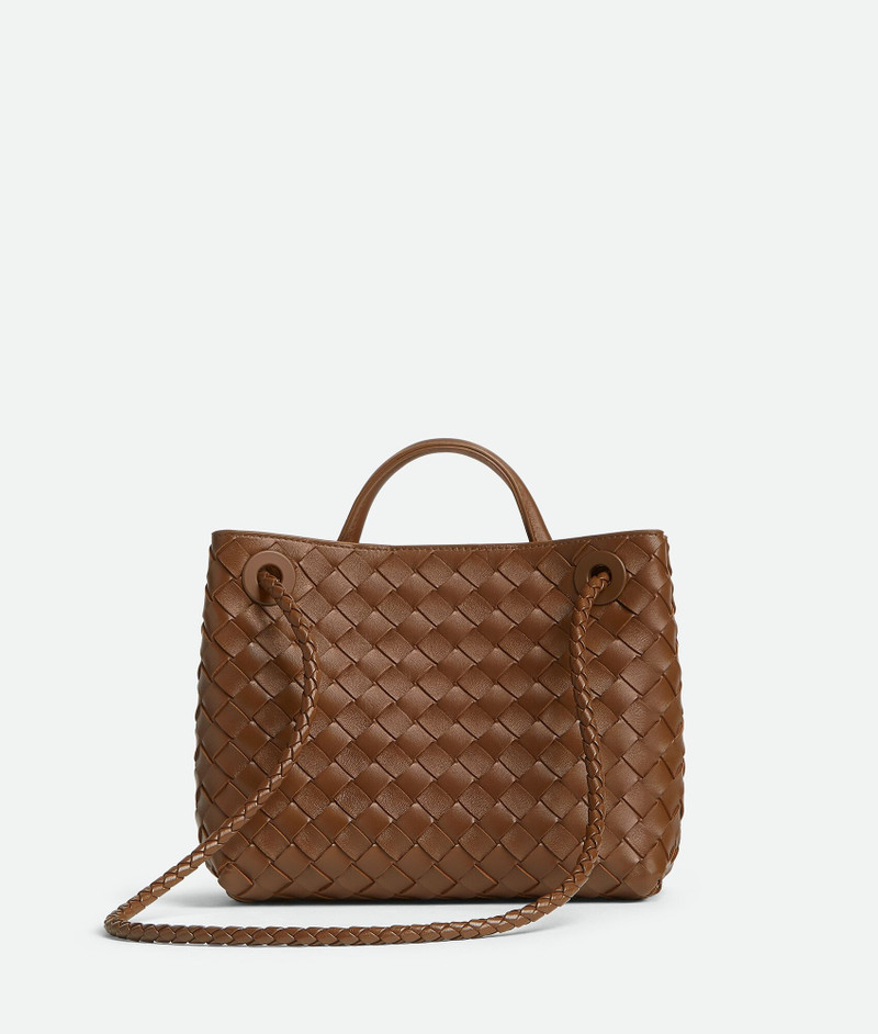 Bottega Veneta Small Andiamo outlook
