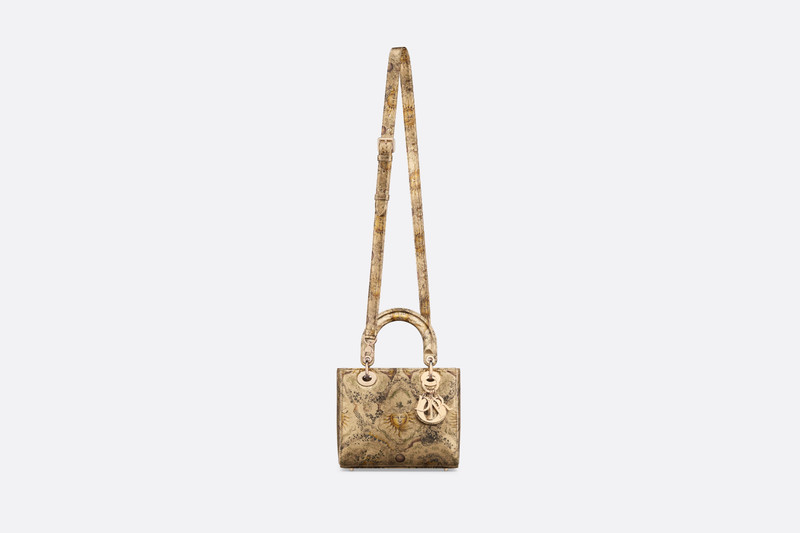 Small Lady Dior Bag 8