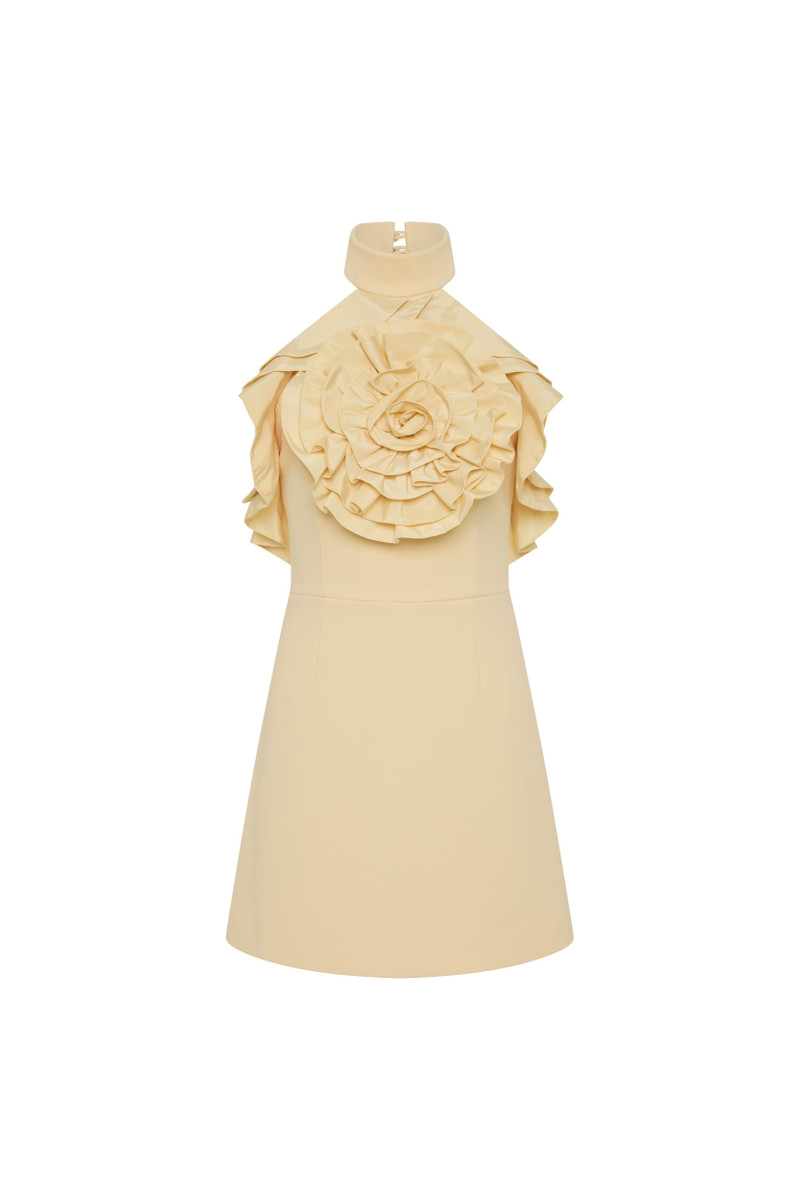 Aubriella Mini Dress 1