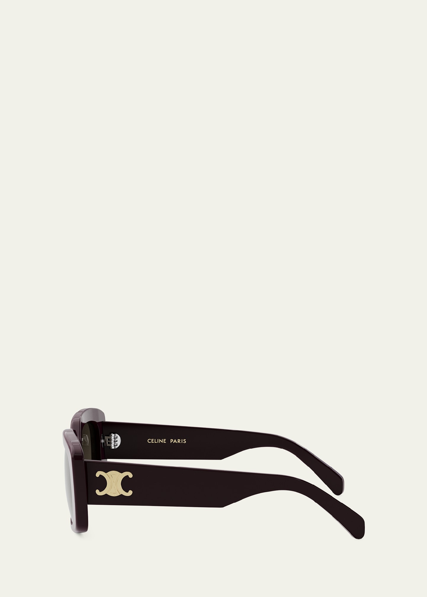 Triomphe Acetate Butterfly Sunglasses - 3