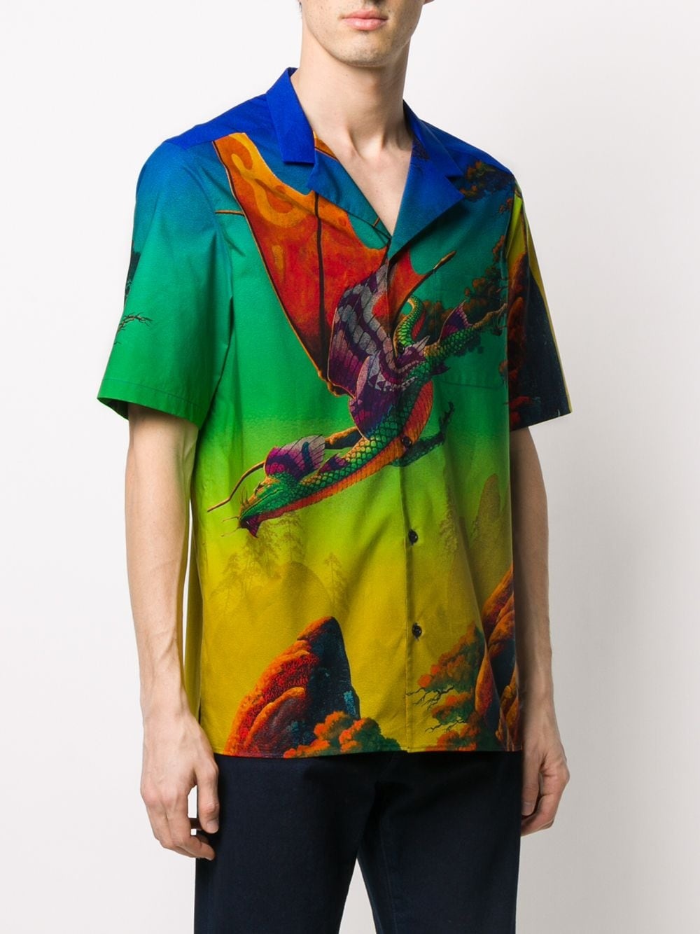 Dragons garden print shirt - 3