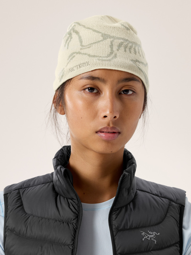 Arc'teryx Bird Head Toque outlook