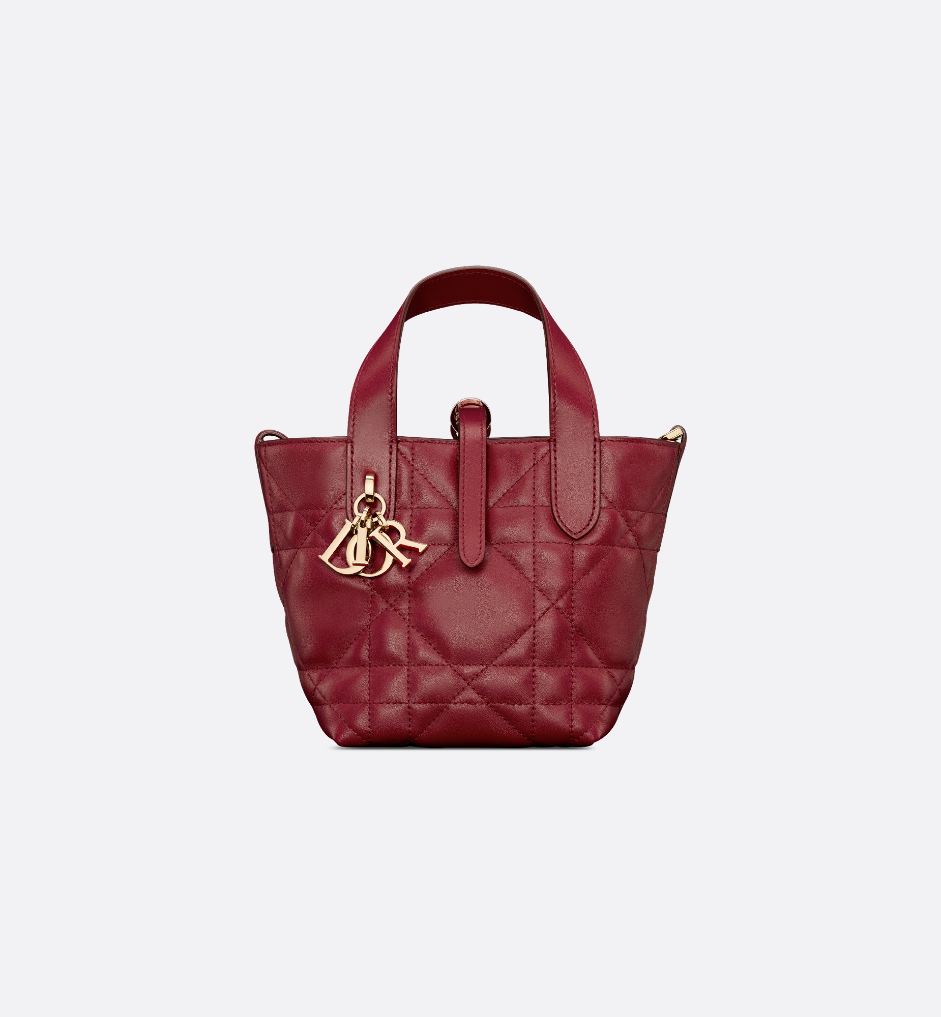 Dior Toujours Vertical Nano Tote Bag - 2