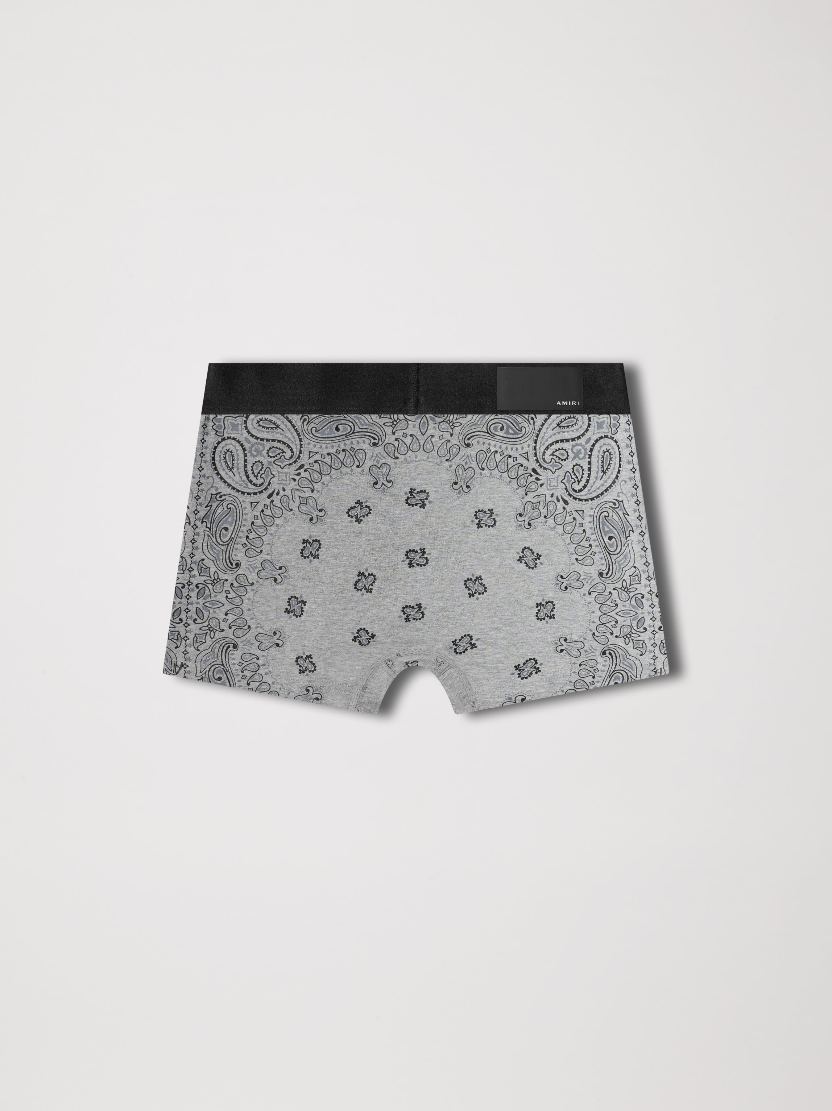 BANDANA BRIEF - 2