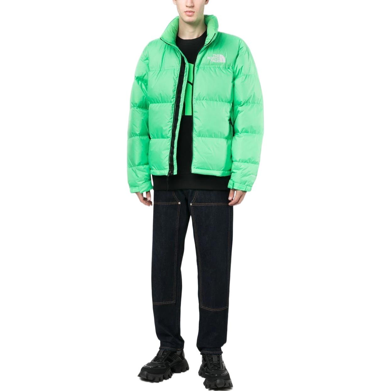THE NORTH FACE 1996 Nuptse Jacket 700 NF0A3C8D-8YK - 2