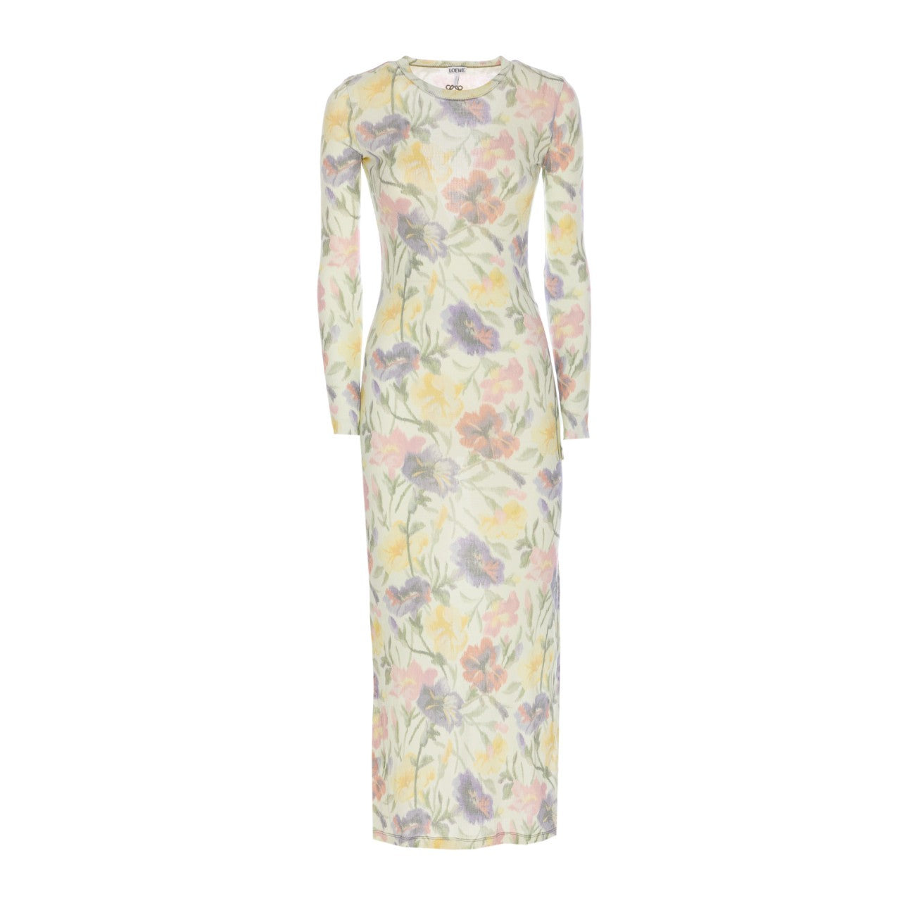 Loewe Women Morning Glory Print Cotton And Silk Multicolor Dress - 1