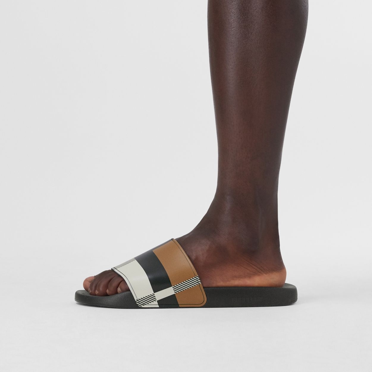 Check Print Slides - 3