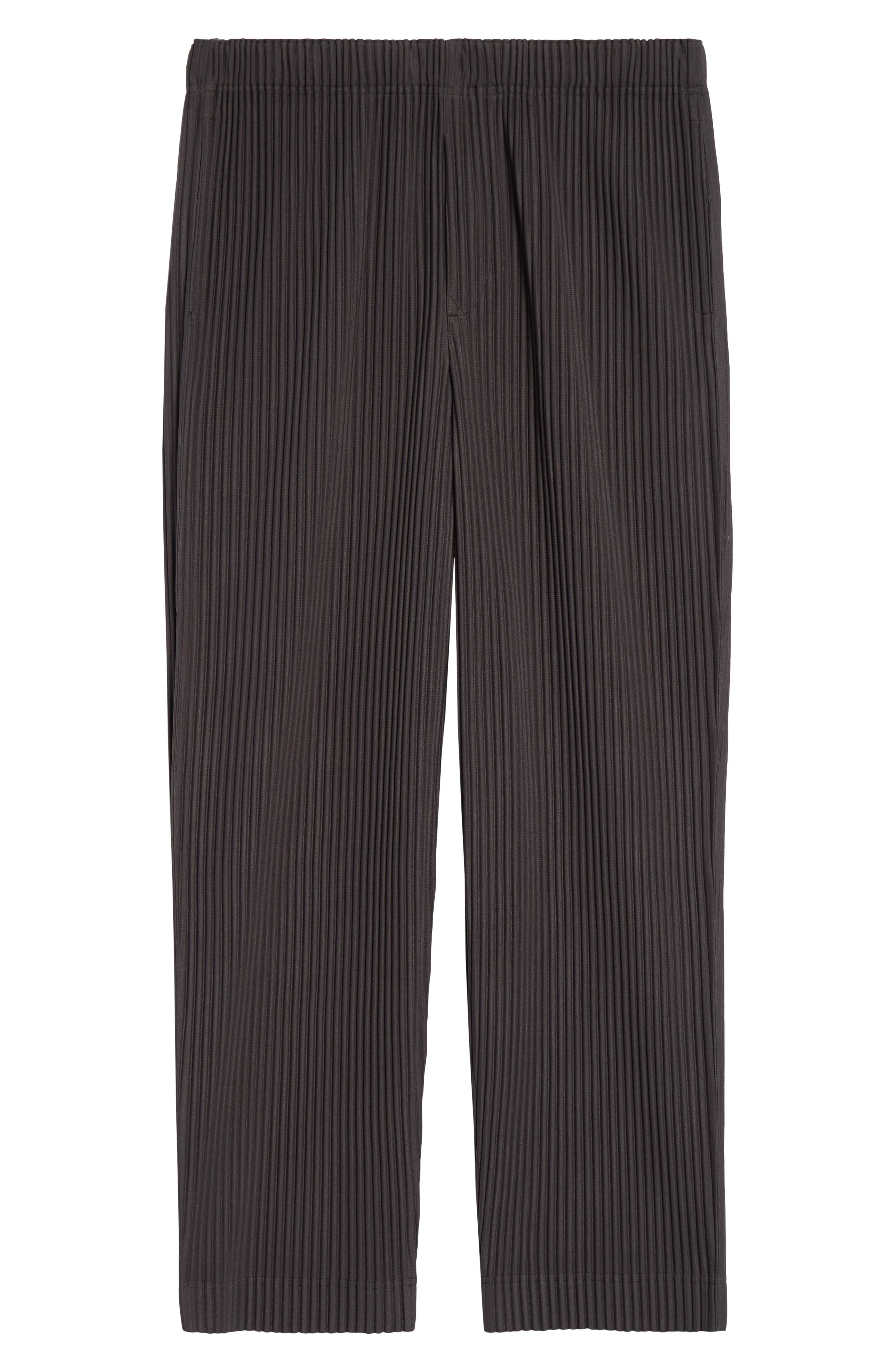 Homme Plissé Issey Miyake Monthly Colors March Pleated Straight Leg Pants in Charcoal Gray at Nordst - 6