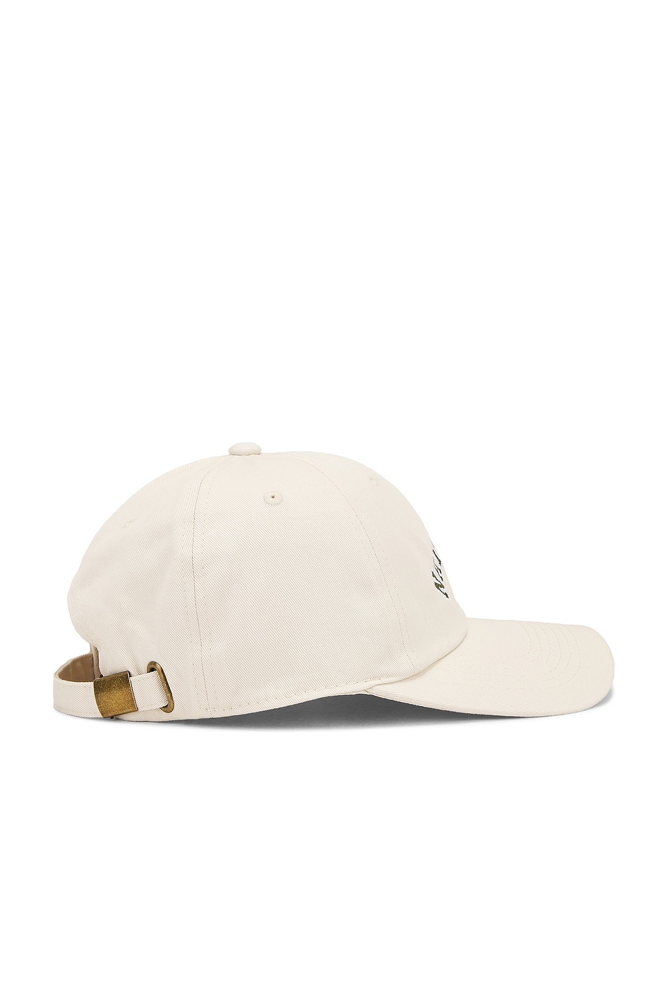 Naturalist Dad Hat - 3