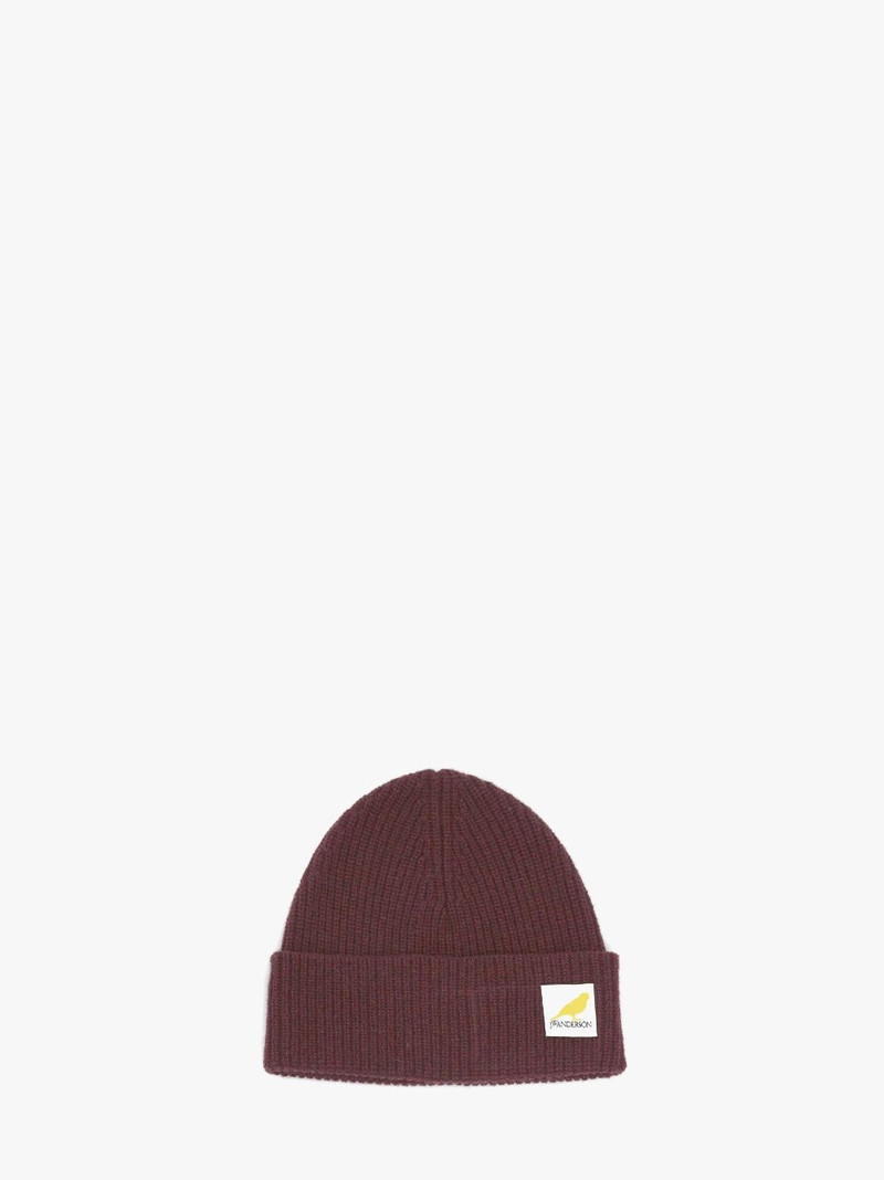 BEANIE WITH LOGO PATCH 1