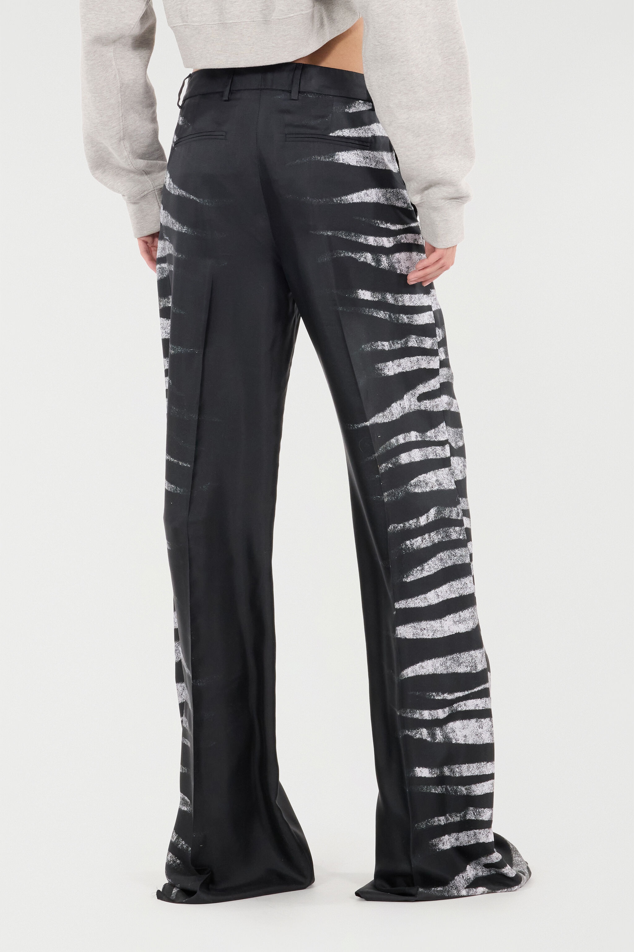 Pants With Side Zebra Print - 4