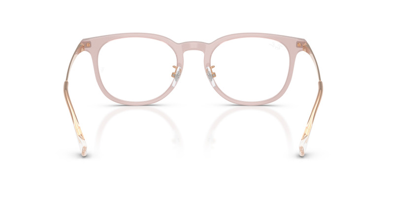 RB5453D OPTICS 6