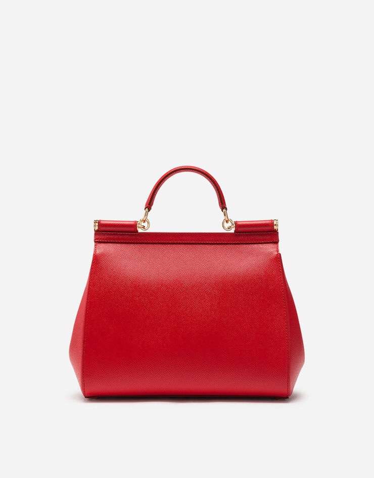 Dauphine leather regular Sicily bag - 4