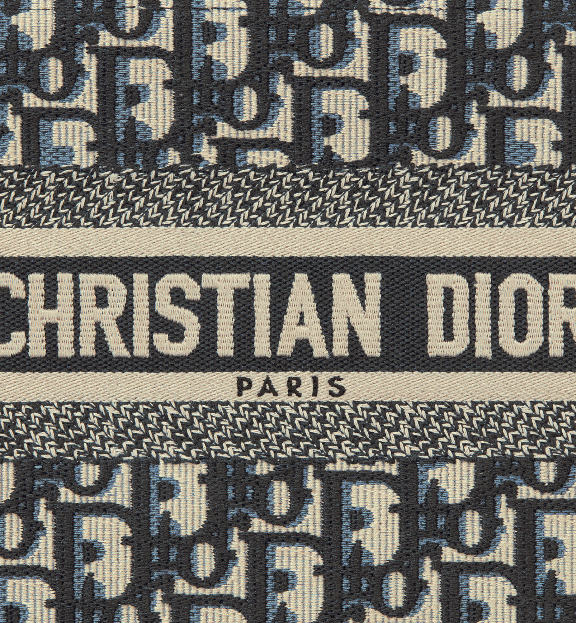 Small Dior Book Tote - 6