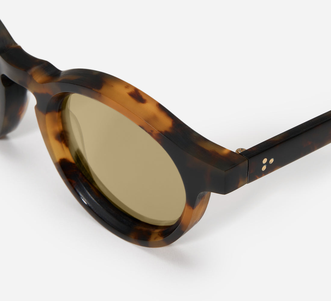 P3 Round - SP-01 - Tortoise/Yellow - 4