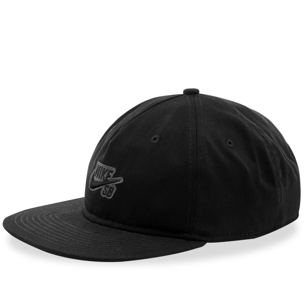 Nike SB Pro Cap - 1