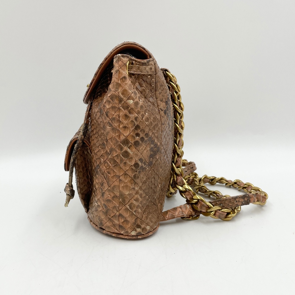 Chanel Snake Skin Duma Backpack - 4