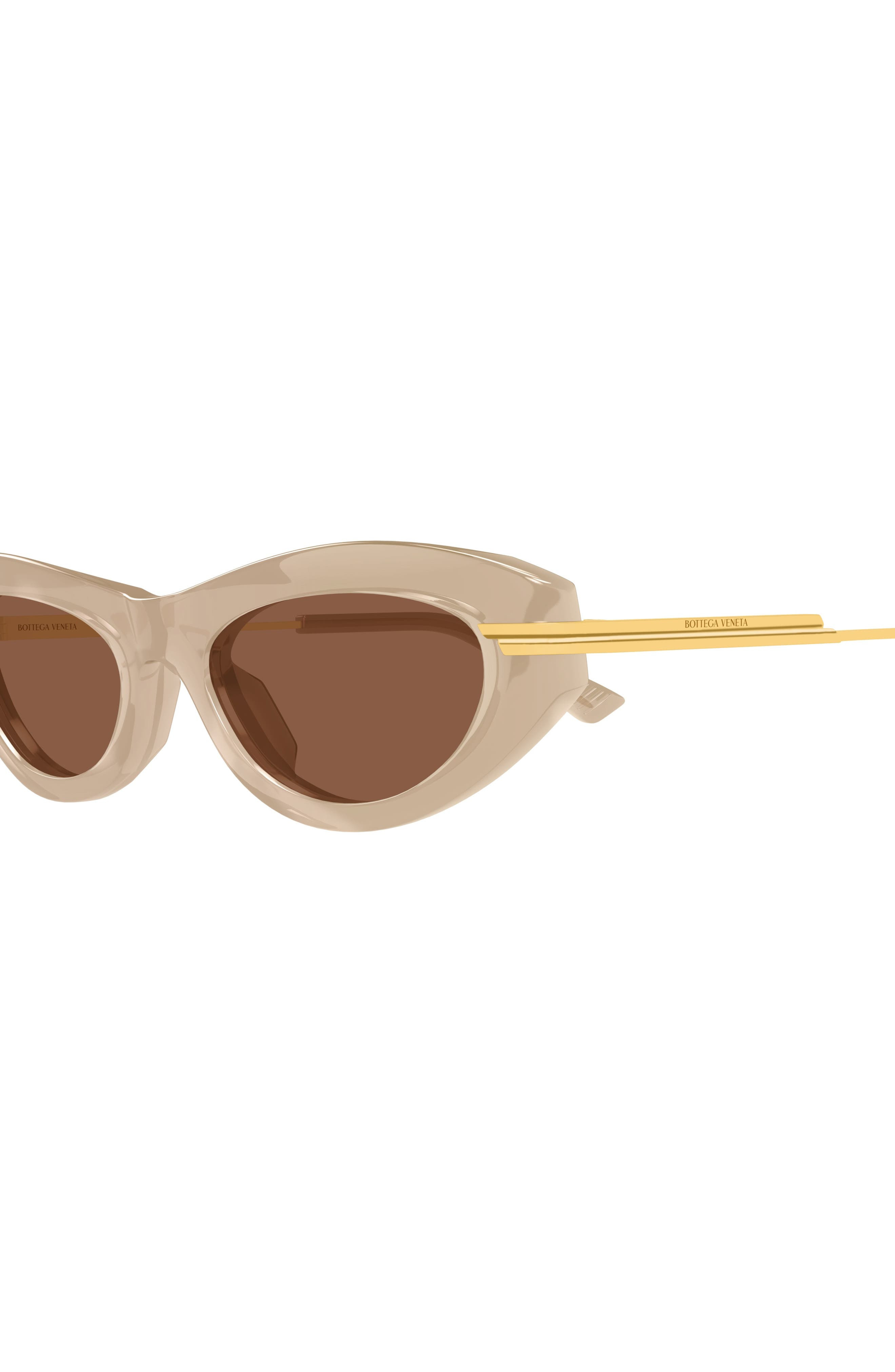 Bottega Veneta 53mm Cat Eye Sunglasses in Brown at Nordstrom - 4