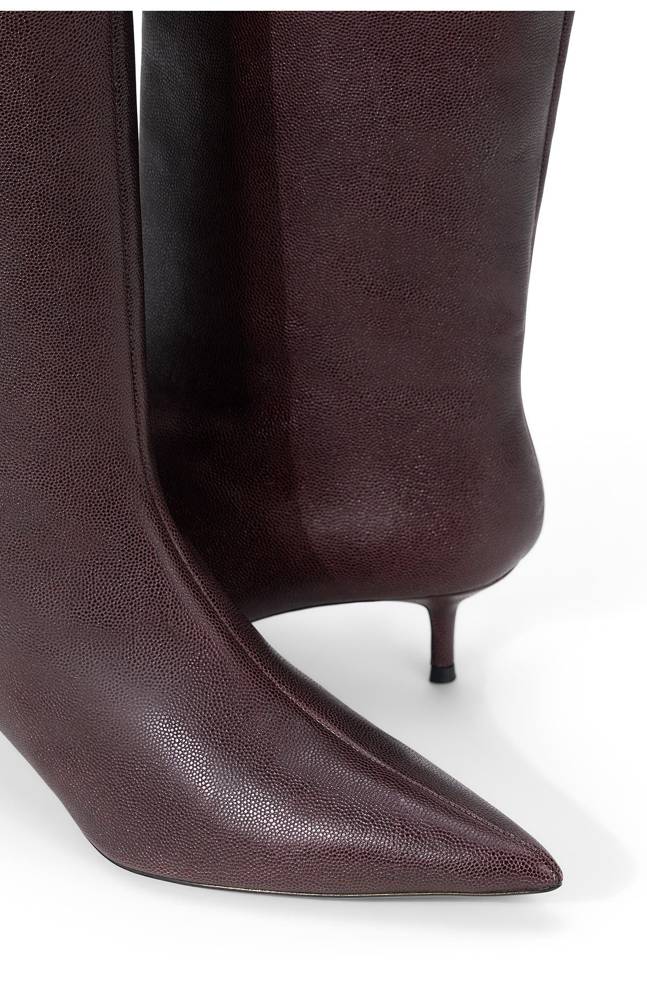 STAUD Sebastian Pointed Toe Kitten Heel Knee-High Boot in Syrah at Nordstrom - 5