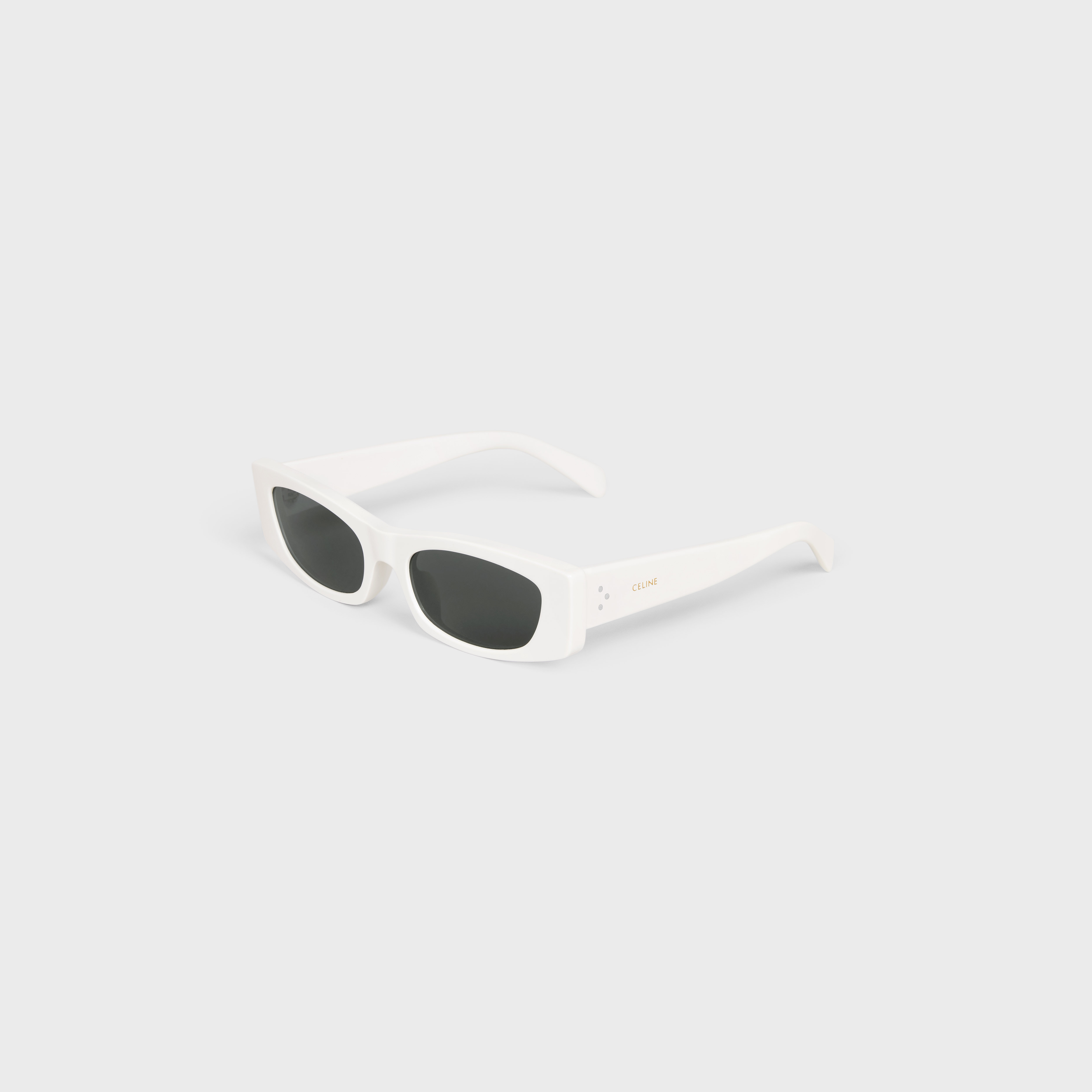 Graphic S258 Sunglasses in Acetate - 2