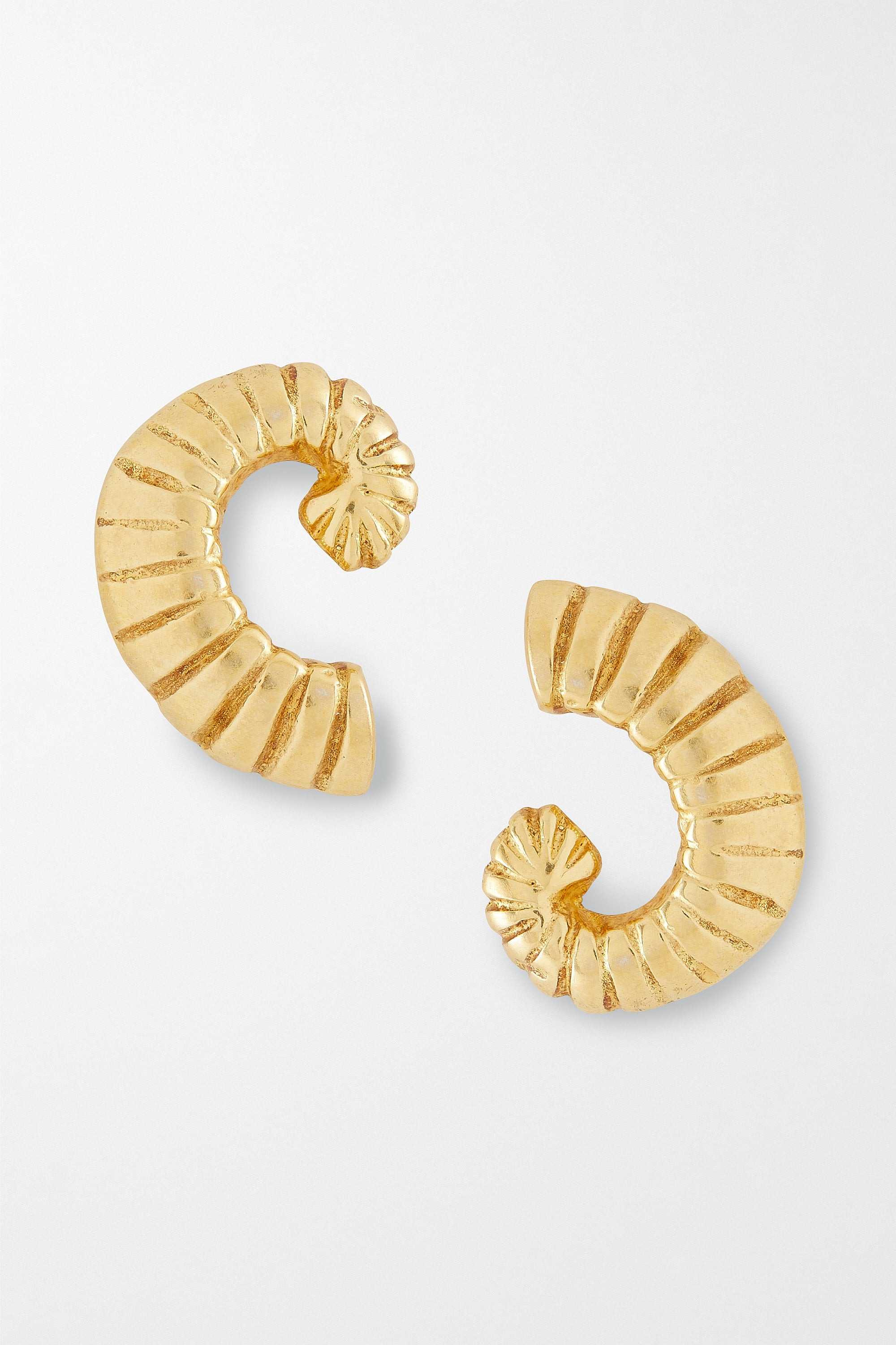 Tiny Shell Earrings - 4