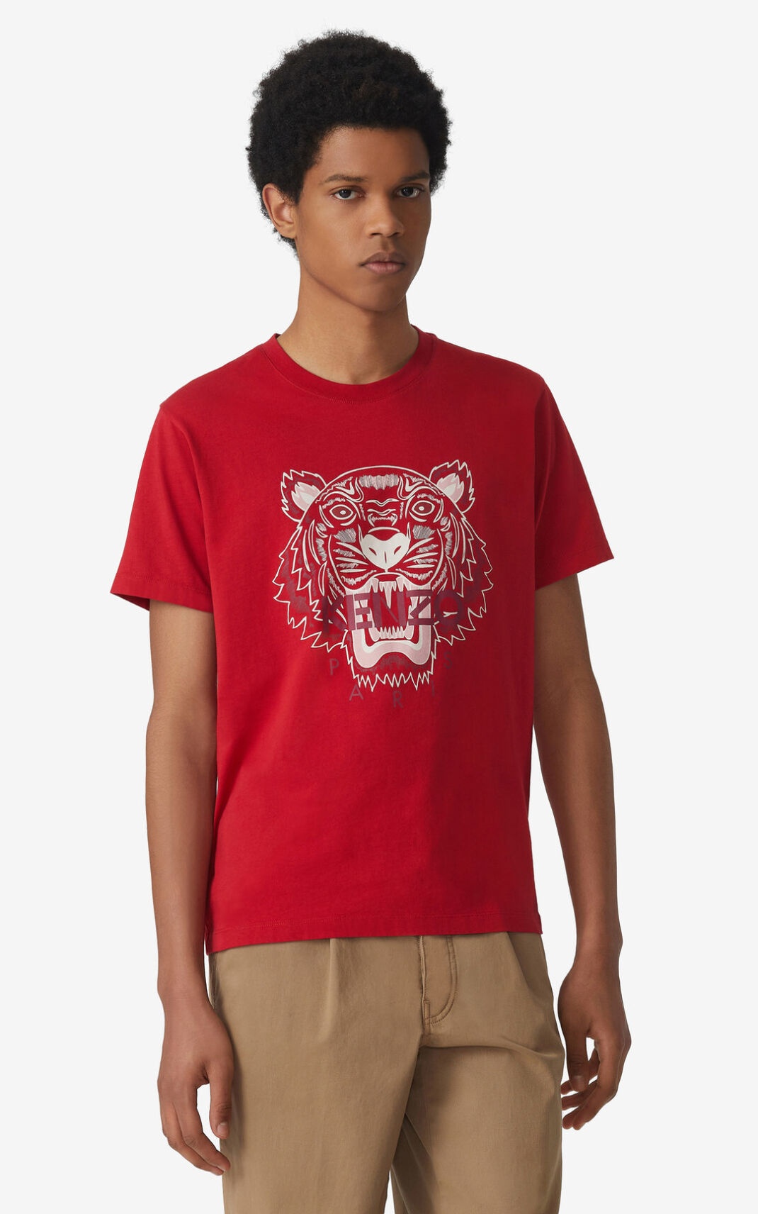 Tiger t-shirt - 2