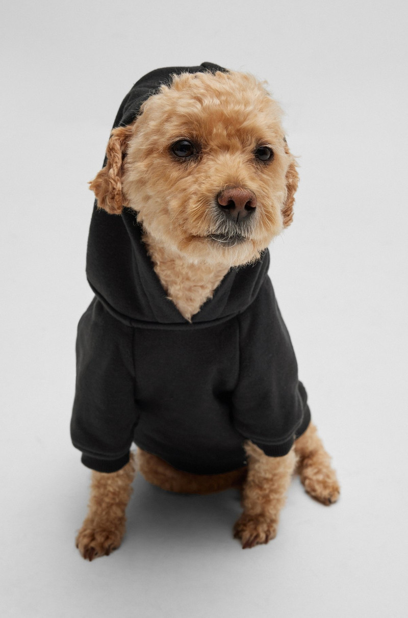 BOSS DOG HOODIE WITH ICONIC STRIPE LOGO outlook