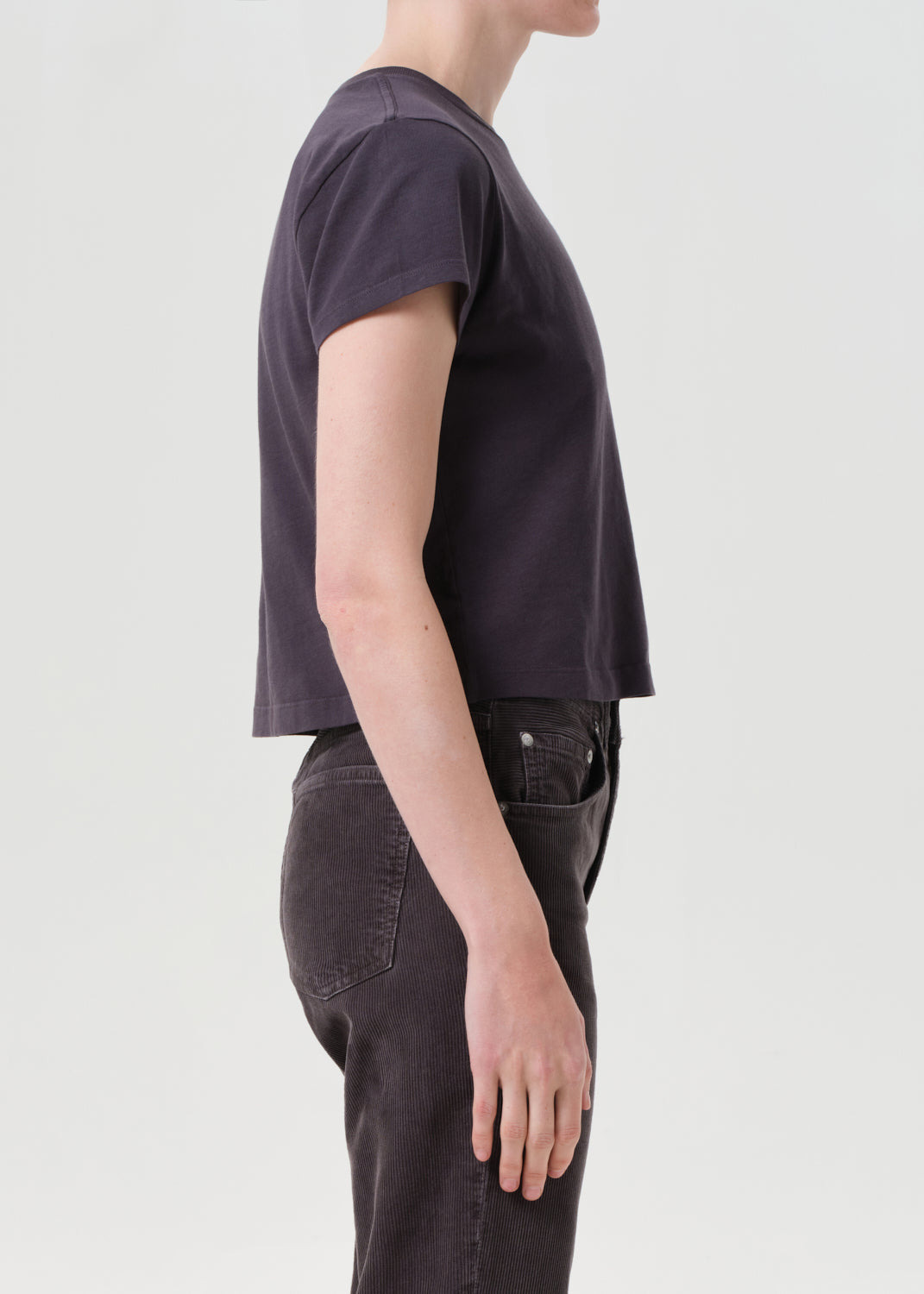 ADINE SHRUNKEN TEE IN SHADE - 3