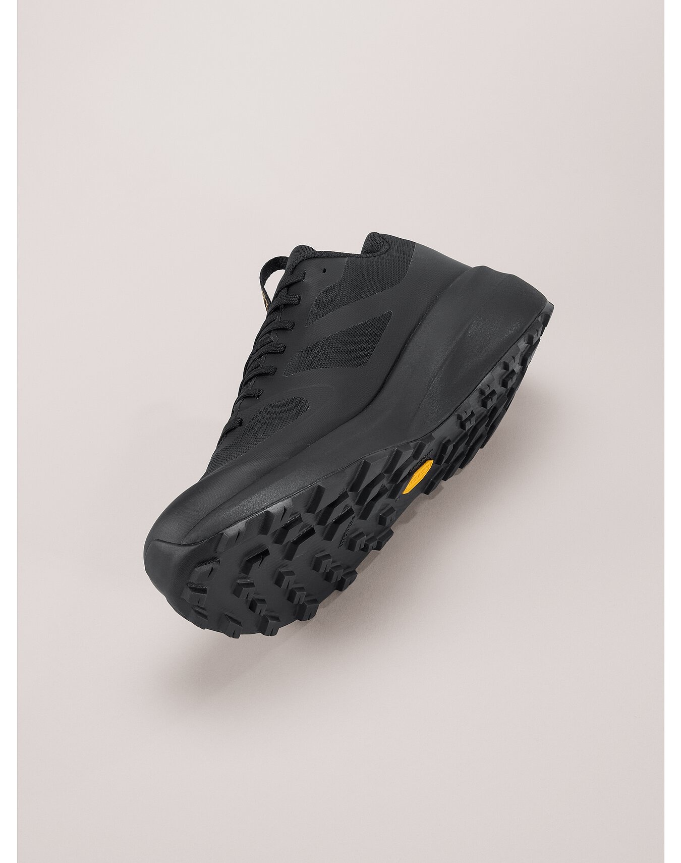 Norvan LD 3 GTX Shoe - 5